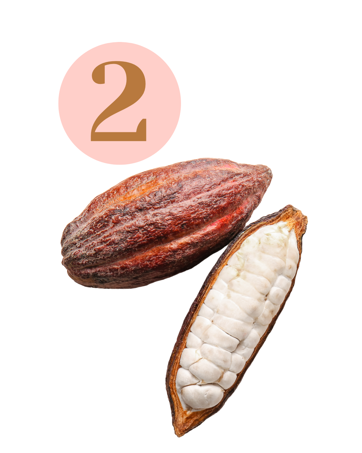cocoa butter ads moisture to our vaginal moisturizer and soothes irritation.