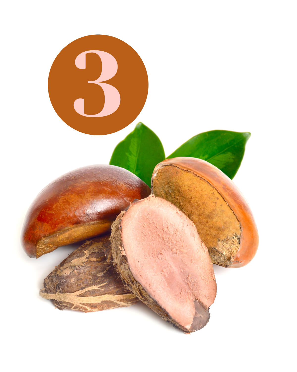 shea butter adds antioxidants to our vaginal moisturizer and helps the skin regain it's elacticity.
